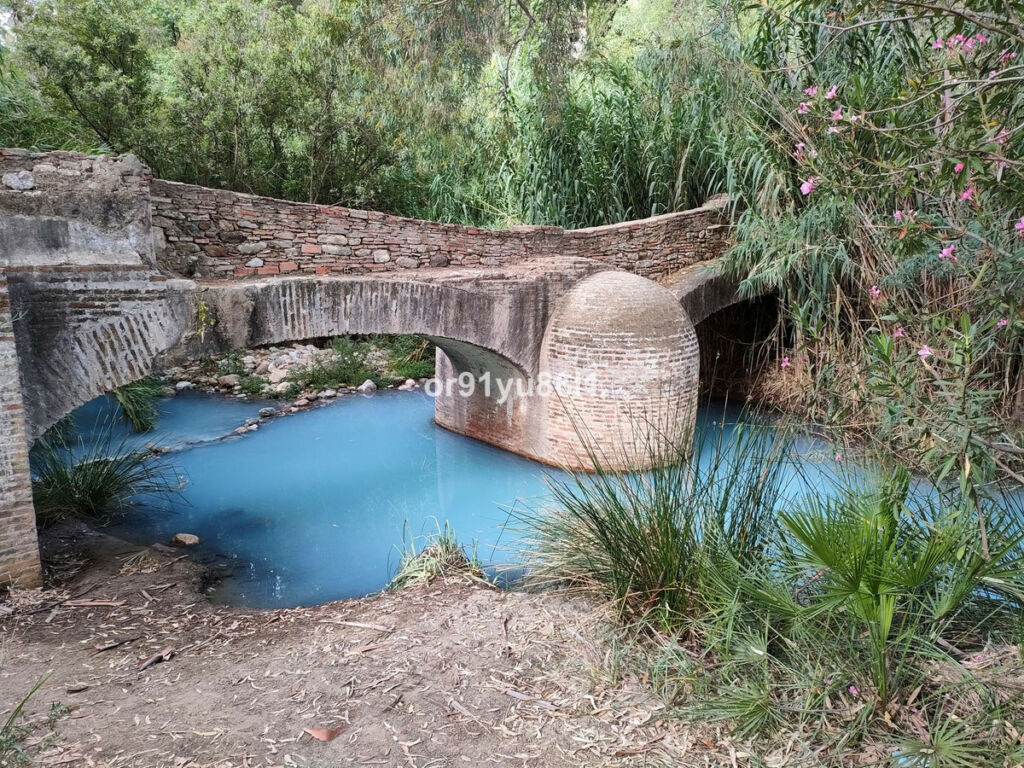 Finca - Cortijo Casares Málaga - image 19
