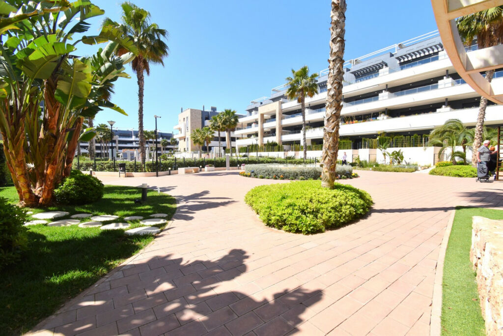 Middle Floor Apartment Playa Flamenca Alicante - image 19