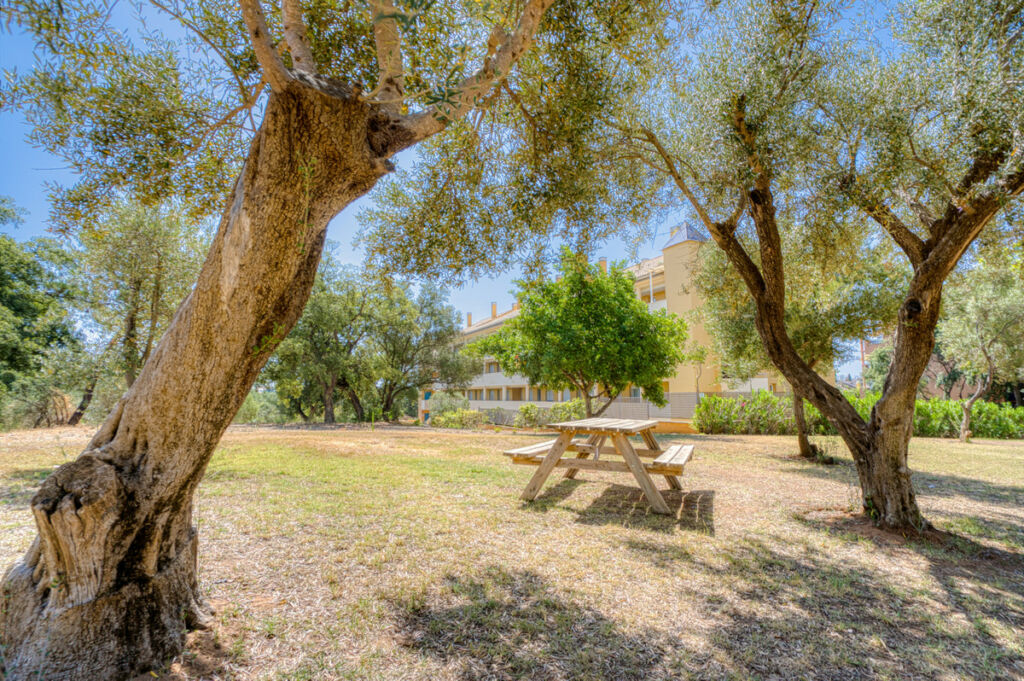 Ground Floor Apartment Marbella Málaga - image 19