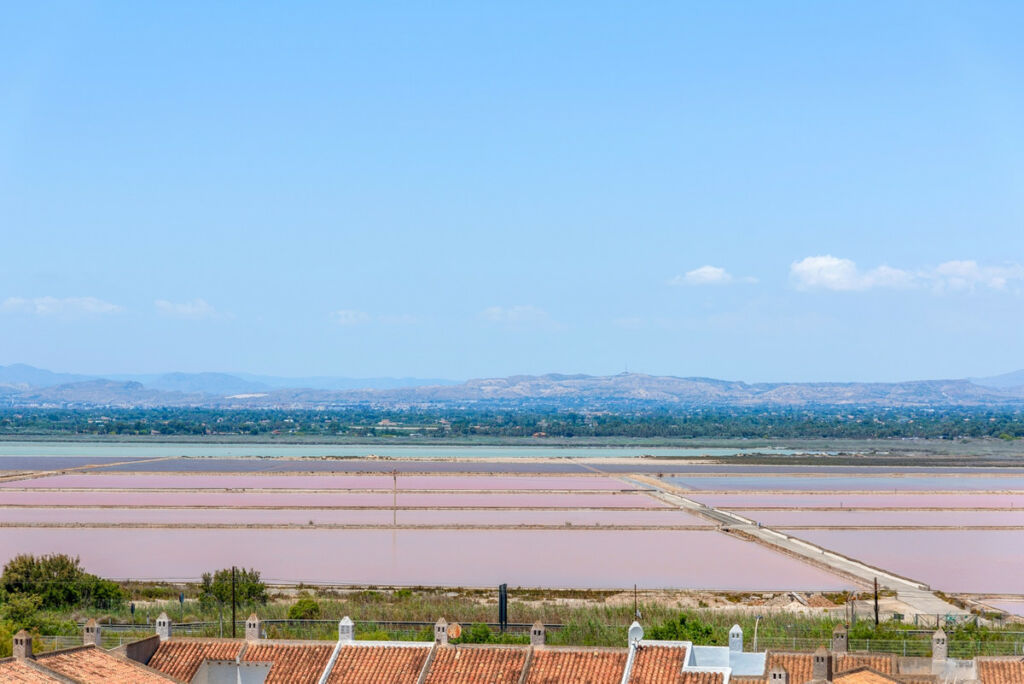Middle Floor Apartment Santa Pola Alicante - image 19