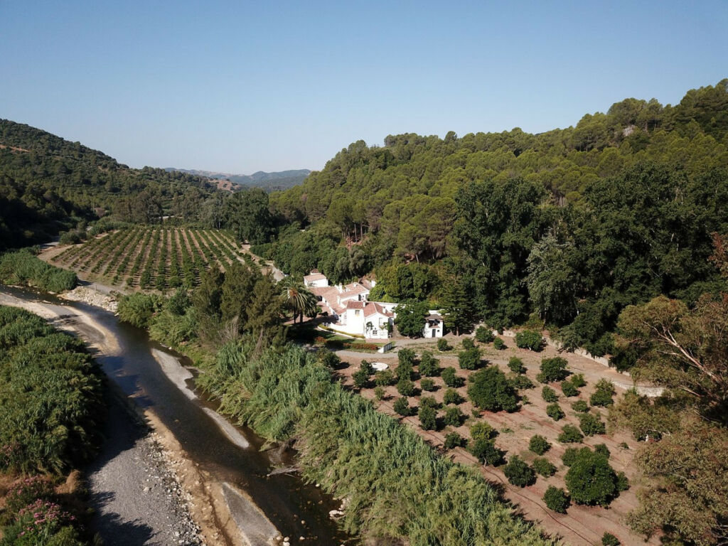 Finca - Cortijo Gaucín Málaga - image 2