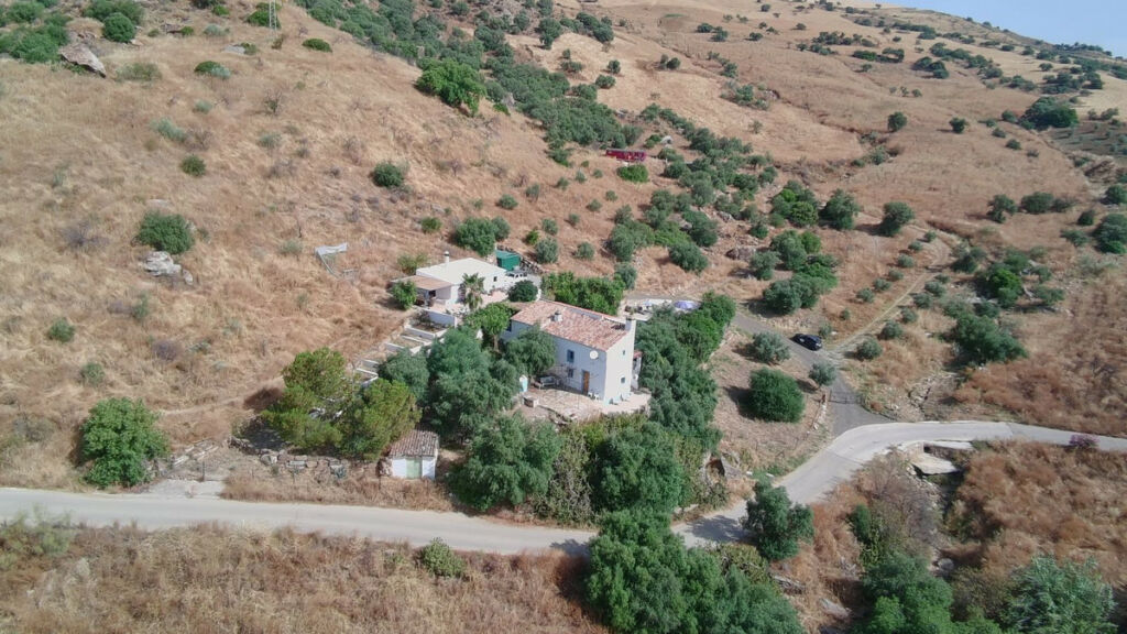 Finca - Cortijo Alora Málaga - image 2