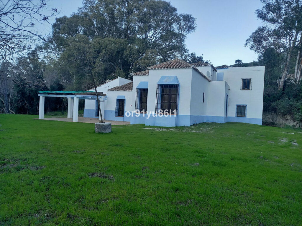 Finca - Cortijo Casares Málaga - image 2
