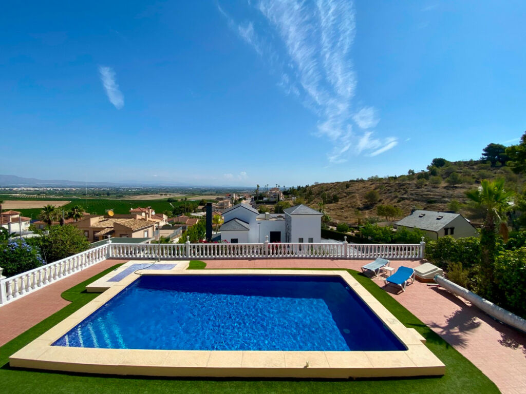 Detached Villa Algorfa Alicante - image 2