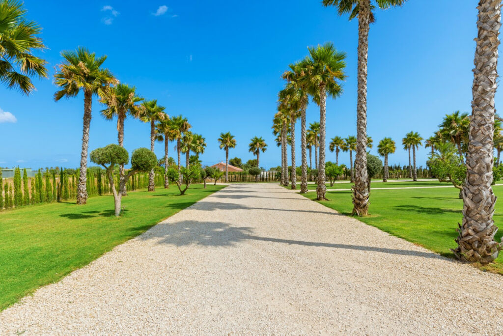 Detached Villa Elche Alicante - image 2