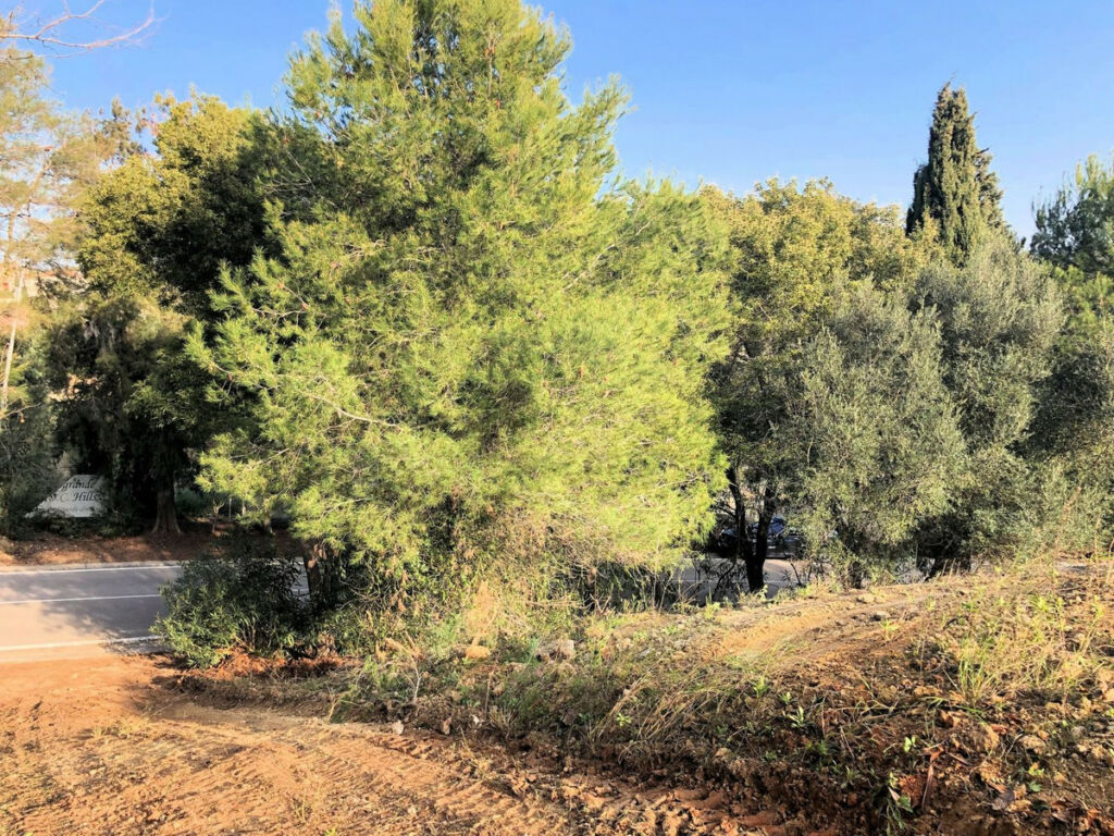 Residential Plot Sotogrande Alto Cádiz - image 2