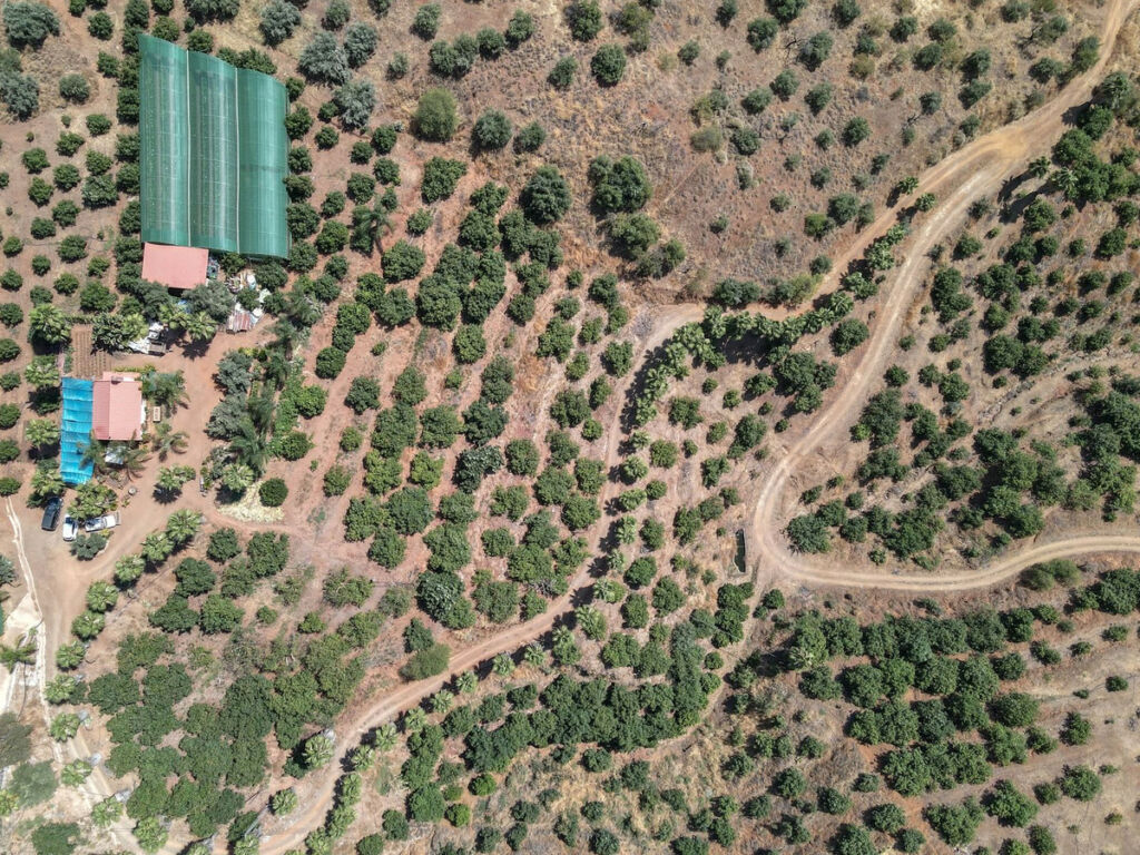 Farm Monda Málaga - image 2