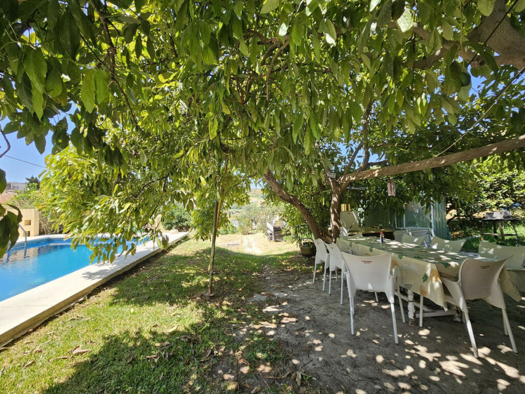 Detached Villa Casares Málaga - image 3
