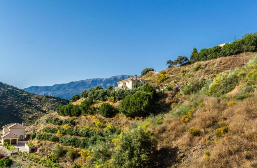 Detached Villa Arenas Málaga - image 3
