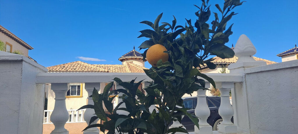 Detached Villa La Zenia Alicante - image 2