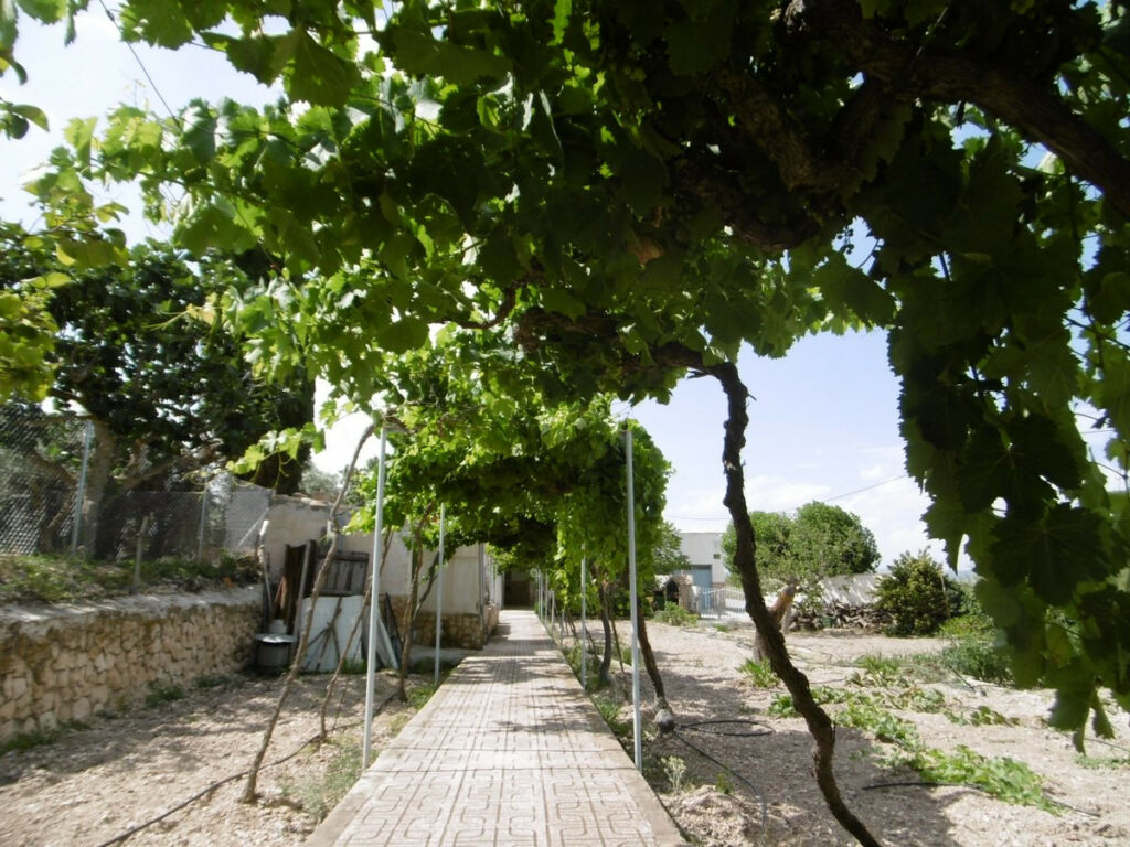 Detached Villa Yecla Murcia