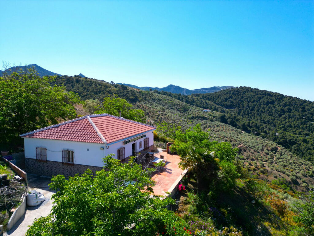 Finca - Cortijo Canillas de Albaida Málaga - image 2