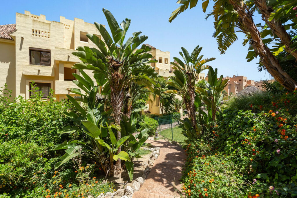 Middle Floor Apartment La Duquesa Málaga - image 20