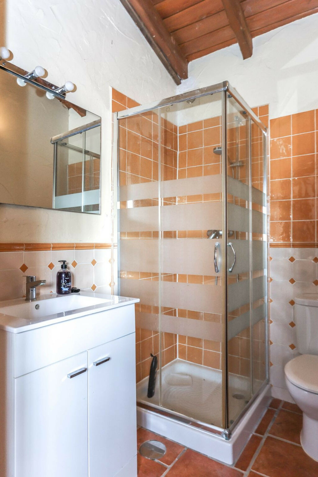 Detached Villa Coín Málaga - image 21