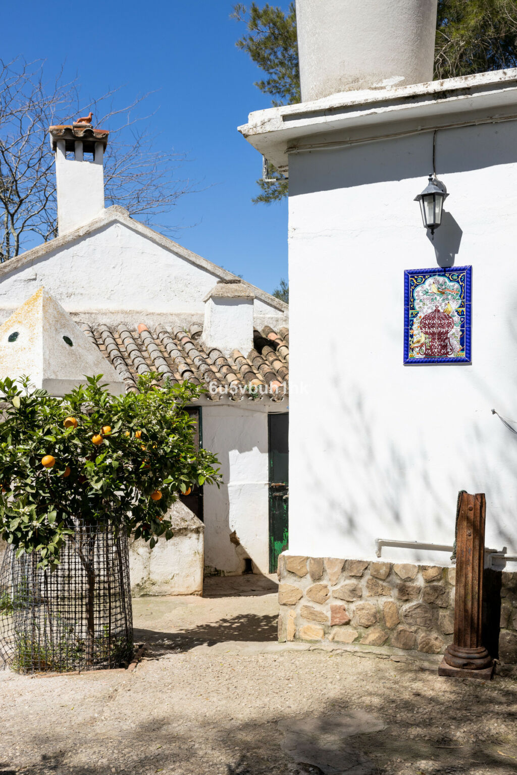 Finca - Cortijo Jimena de la Frontera Cádiz - image 20