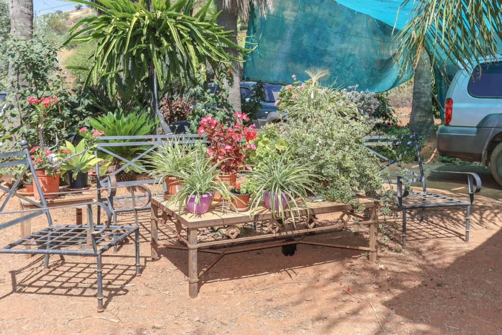 Farm Monda Málaga - image 20