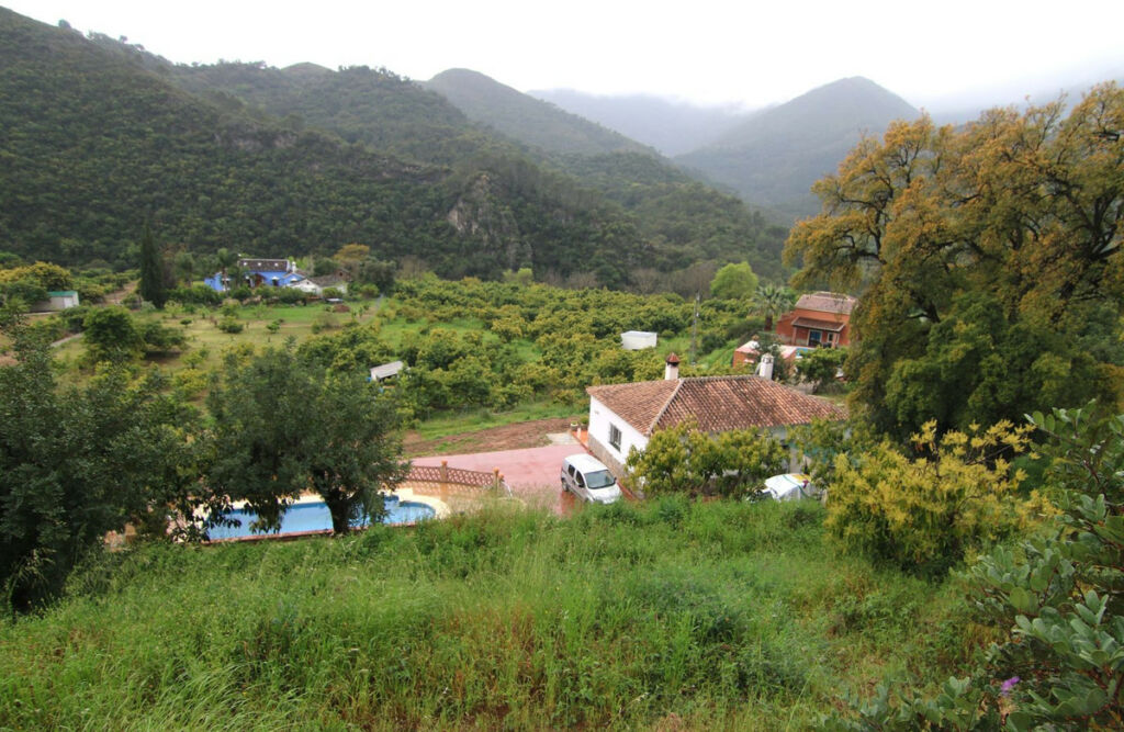 Finca - Cortijo Coín Málaga - image 20