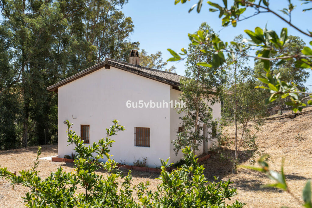 Finca - Cortijo Cártama Málaga - image 20