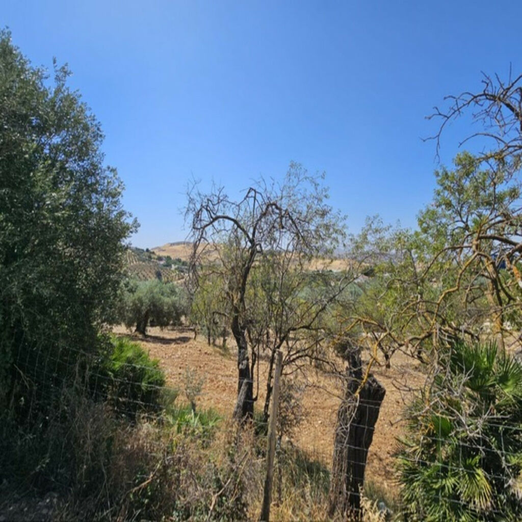 Finca - Cortijo Villanueva De La Concepcion Málaga - image 20