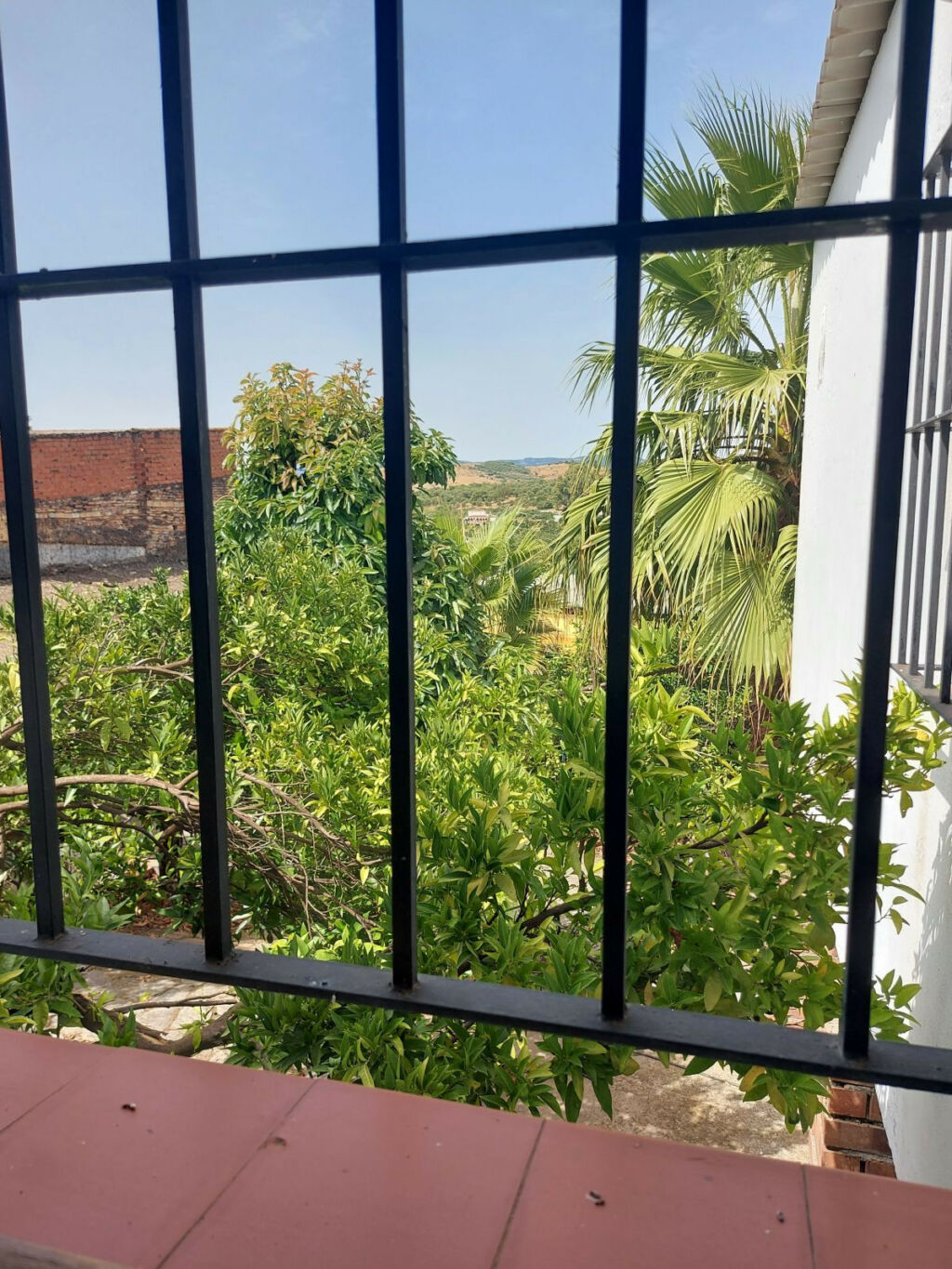Semi-Detached House Jimena de la Frontera Cádiz - image 20