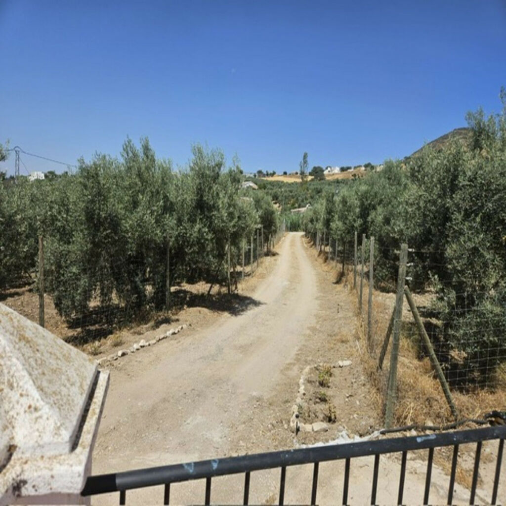 Finca - Cortijo Villanueva De La Concepcion Málaga - image 21