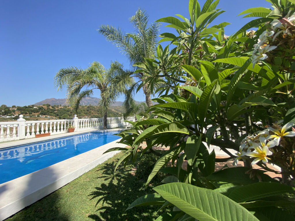 Finca - Cortijo Estepona Málaga - image 21