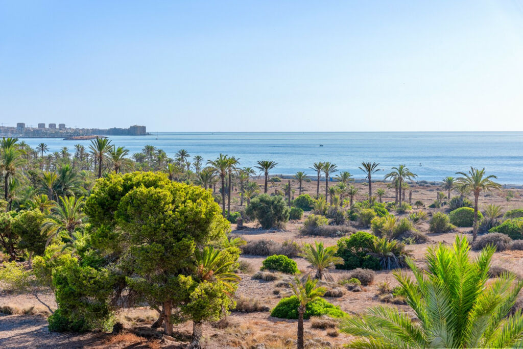Middle Floor Apartment Punta Prima Alicante - image 21