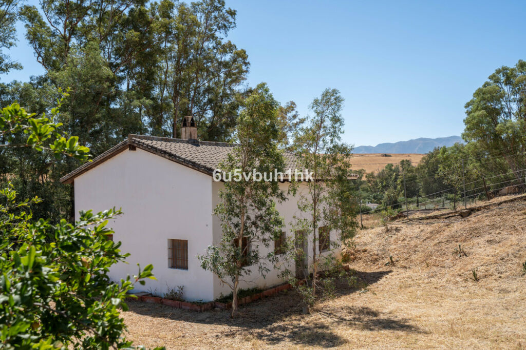 Finca - Cortijo Cártama Málaga - image 21