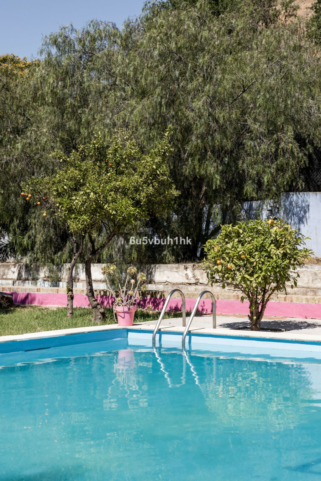 Finca - Cortijo Alora Málaga - image 22