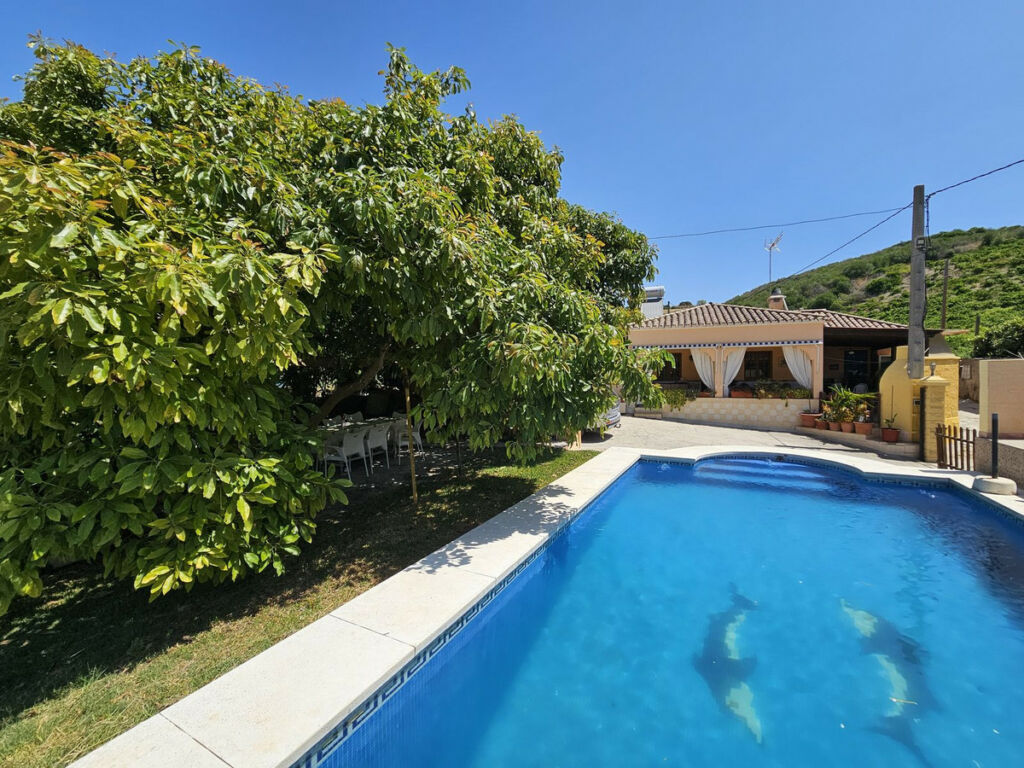 Detached Villa Casares Málaga - image 22