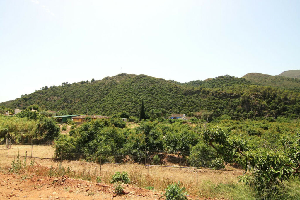 Finca - Cortijo Coín Málaga - image 22