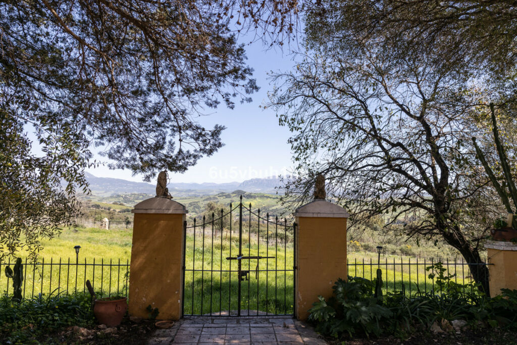 Finca - Cortijo Jimena de la Frontera Cádiz - image 22