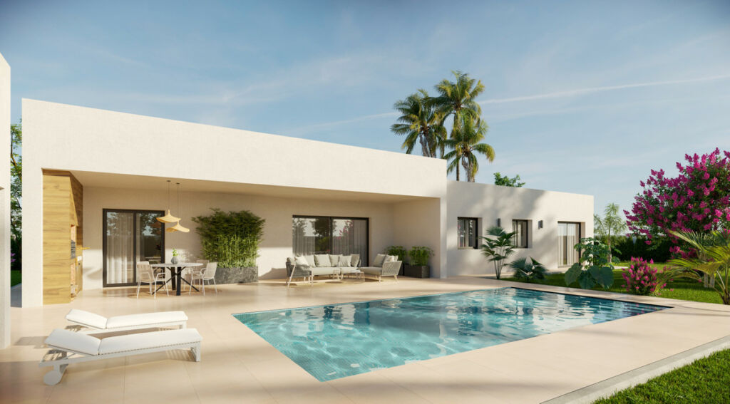 Detached Villa La Canalosa Alicante - image 21