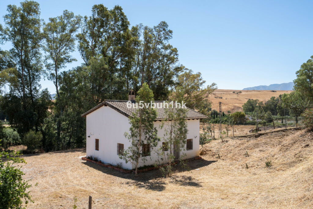 Finca - Cortijo Cártama Málaga - image 22