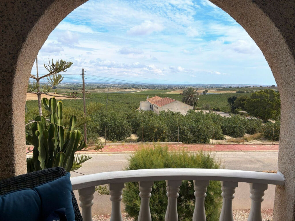 Detached Villa Algorfa Alicante - image 22