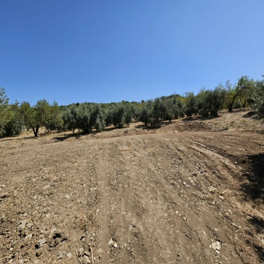 Finca - Cortijo Villanueva De La Concepcion Málaga - image 22