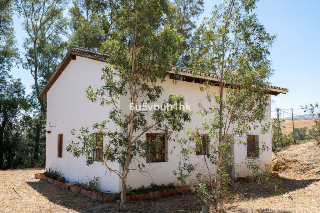 Finca - Cortijo Cártama Málaga - image 23