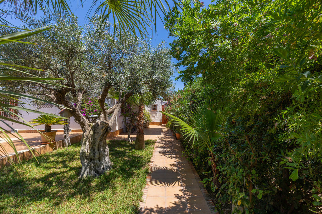 Detached Villa Punta Prima Alicante - image 23
