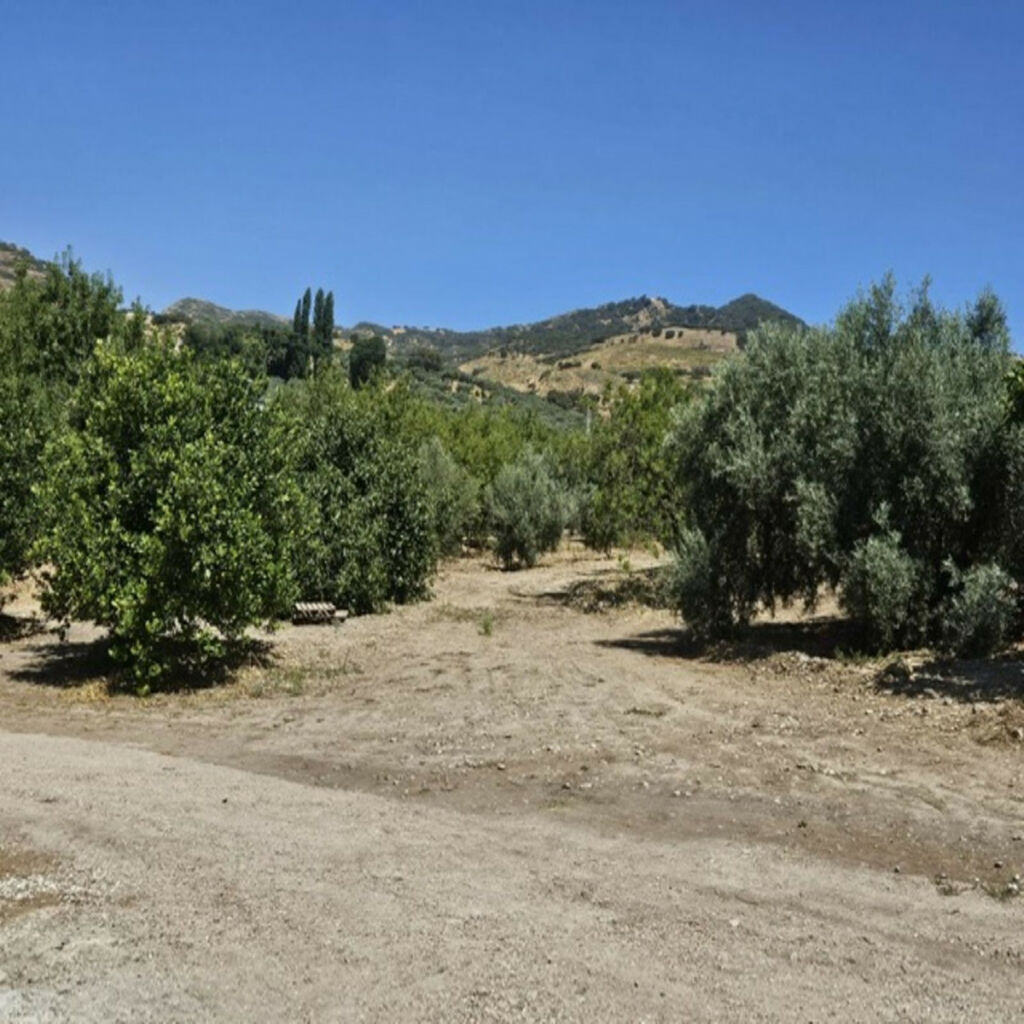 Finca - Cortijo Villanueva De La Concepcion Málaga - image 23