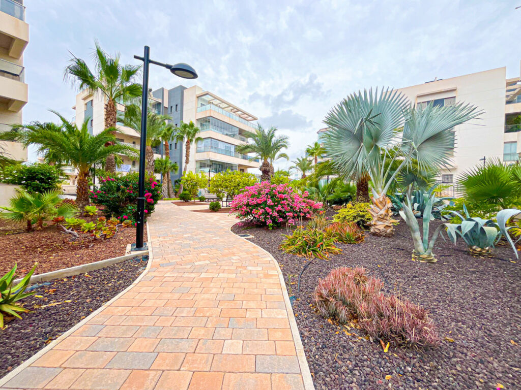 Middle Floor Apartment Villamartin Alicante - image 23