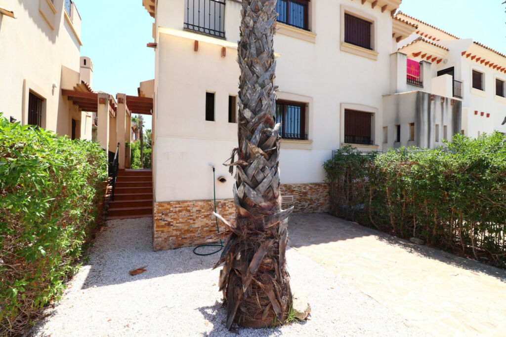 Semi-Detached House Algorfa Alicante - image 24