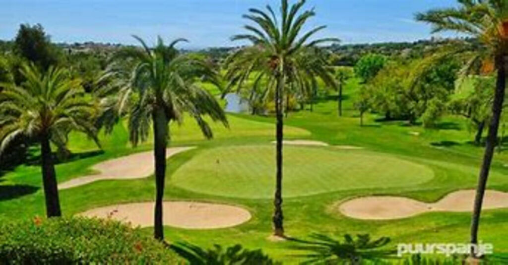 Townhouse La Zenia Alicante - image 24