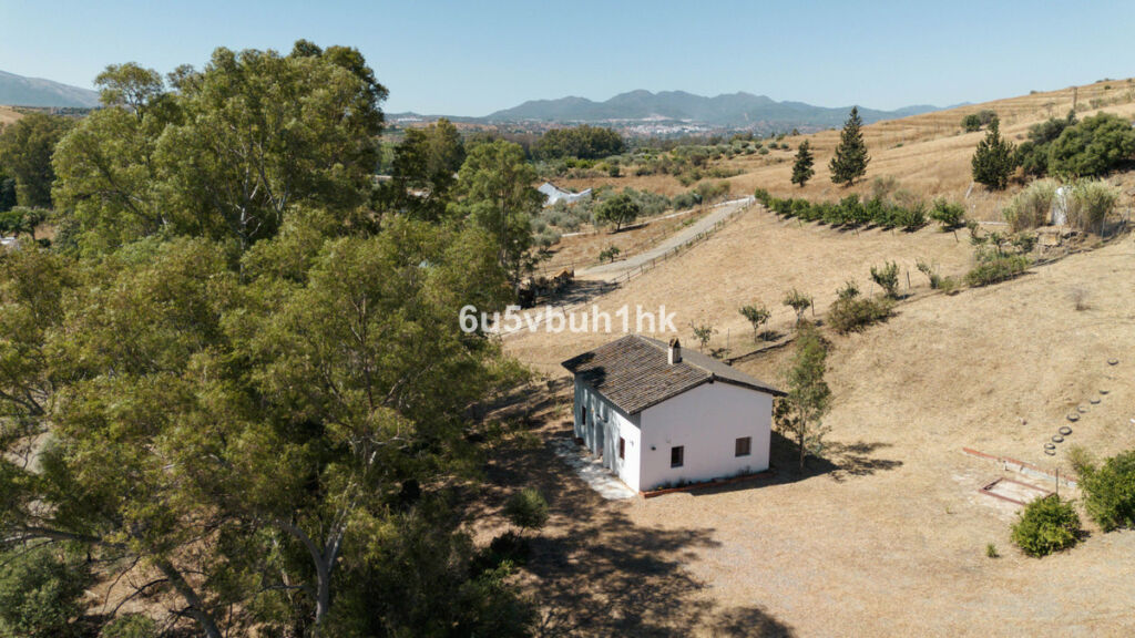 Finca - Cortijo Cártama Málaga - image 24