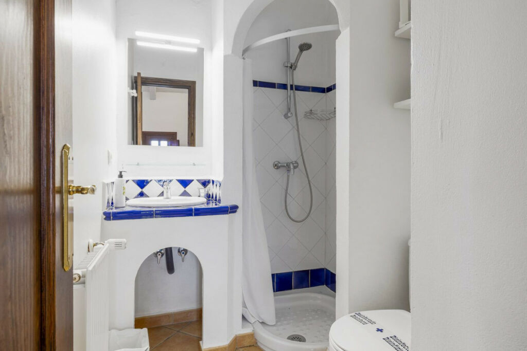 Detached Villa Cortes de la Frontera Málaga - image 24
