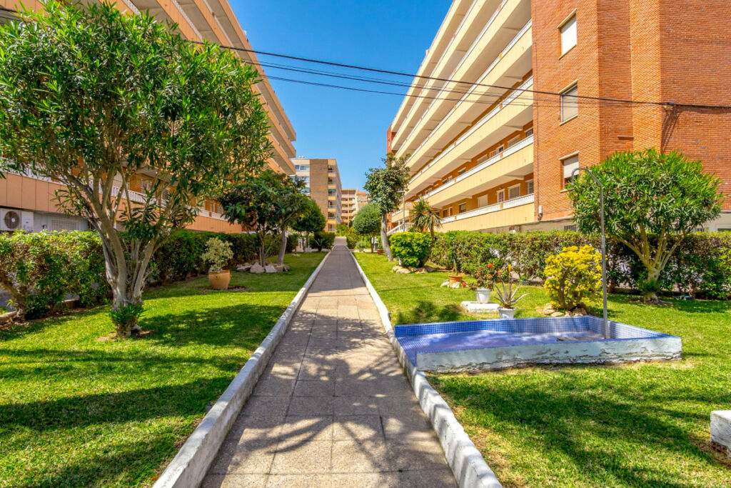 Middle Floor Apartment Rocio del Mar Alicante - image 24