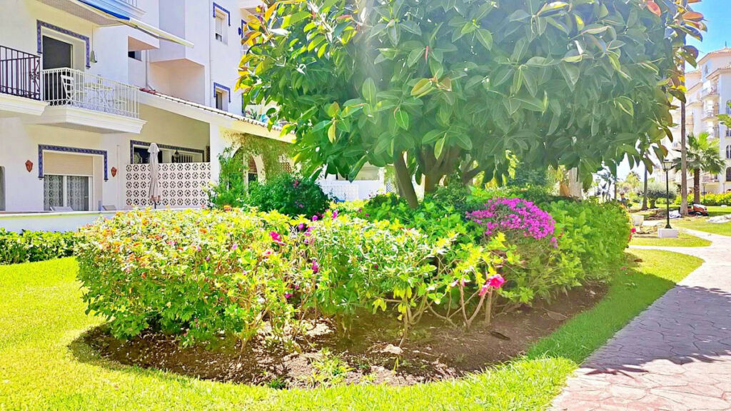 Middle Floor Studio Puerto Banús Málaga - image 25