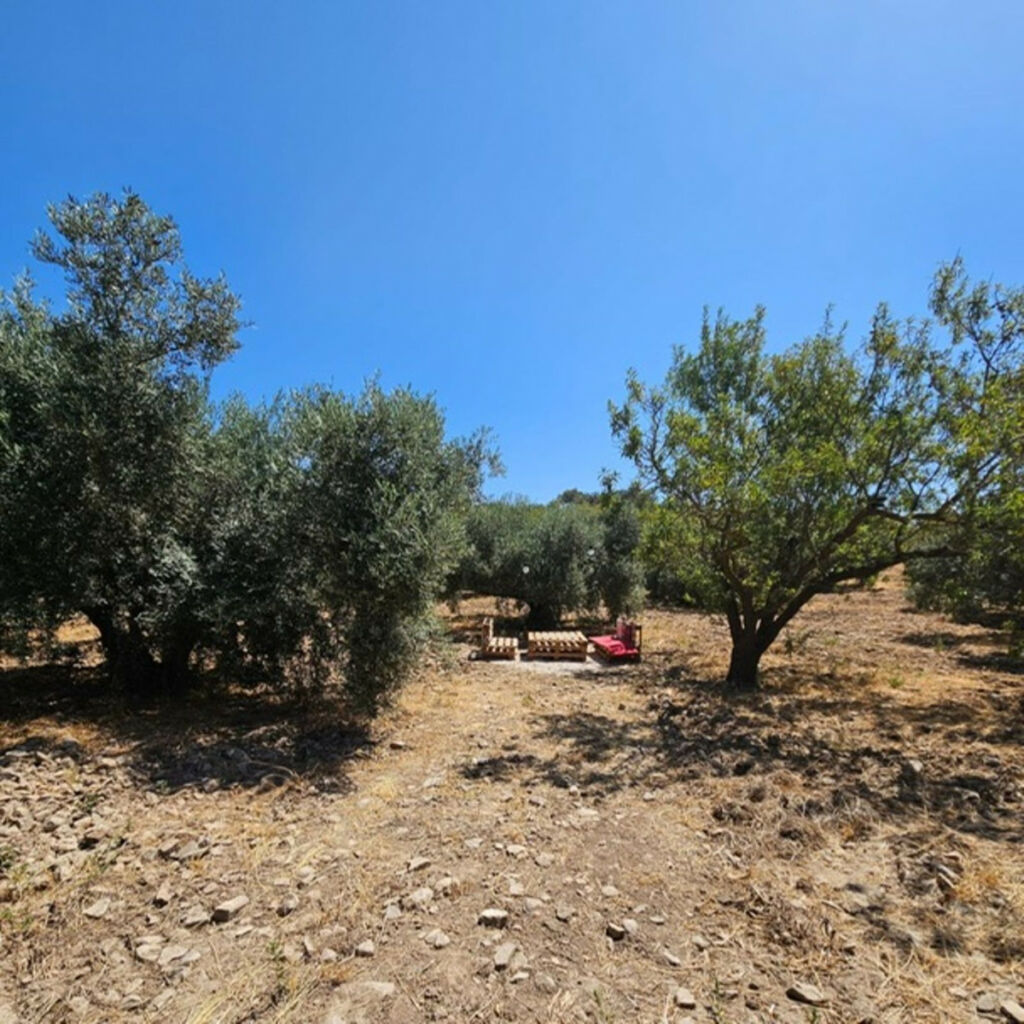 Finca - Cortijo Villanueva De La Concepcion Málaga - image 25