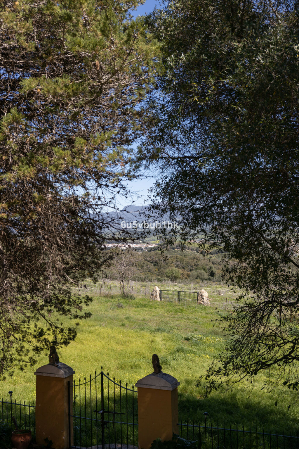 Finca - Cortijo Jimena de la Frontera Cádiz - image 25