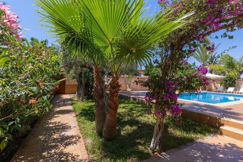 Detached Villa Punta Prima Alicante - image 25