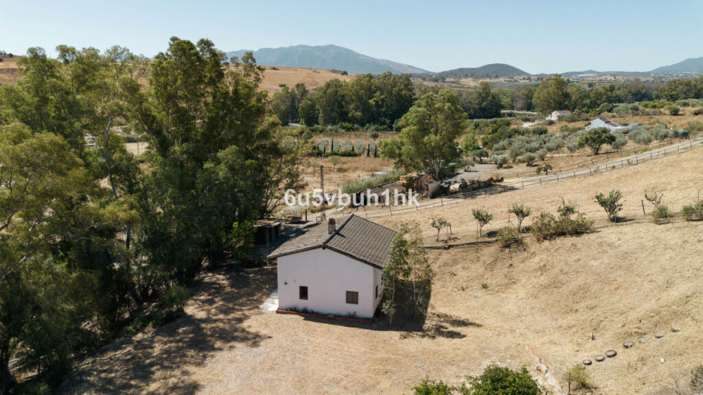 Finca - Cortijo Cártama Málaga - image 25
